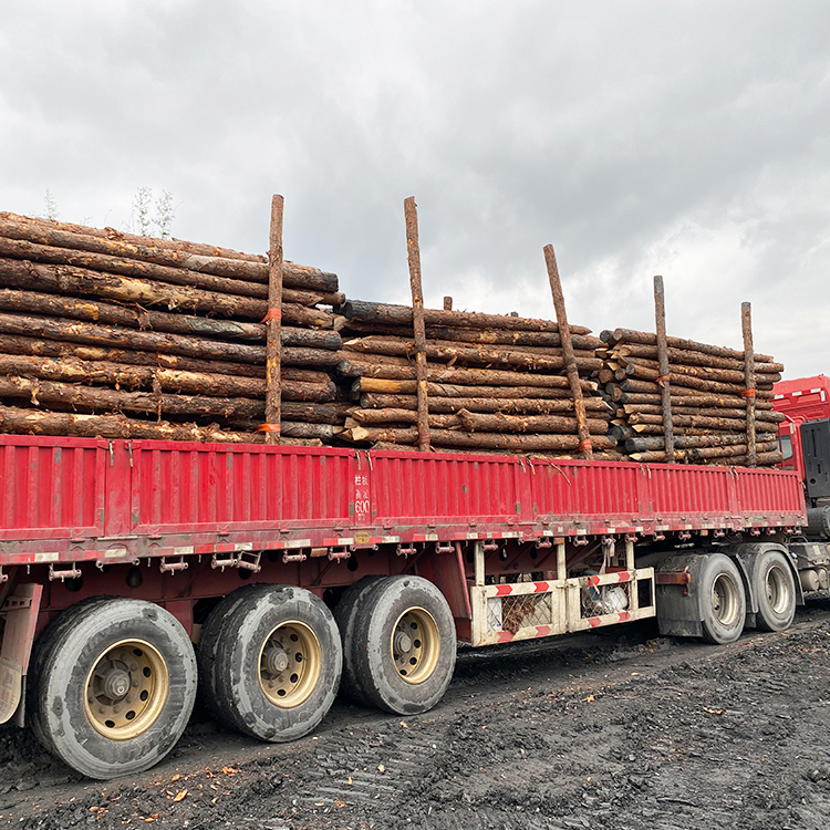 河道木樁報(bào)價(jià):河道(6米)松木木樁多少錢一米,原木樁多少錢？