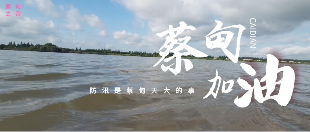 蔡甸區(qū)啟動防汛ⅰ級應急響應，做好鋪土釘防汛木樁工作