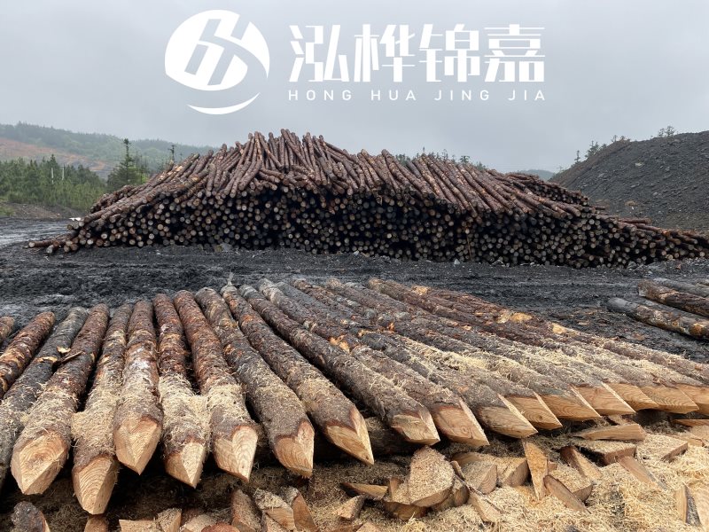6米長松木樁有哪些作用，多少錢一根？