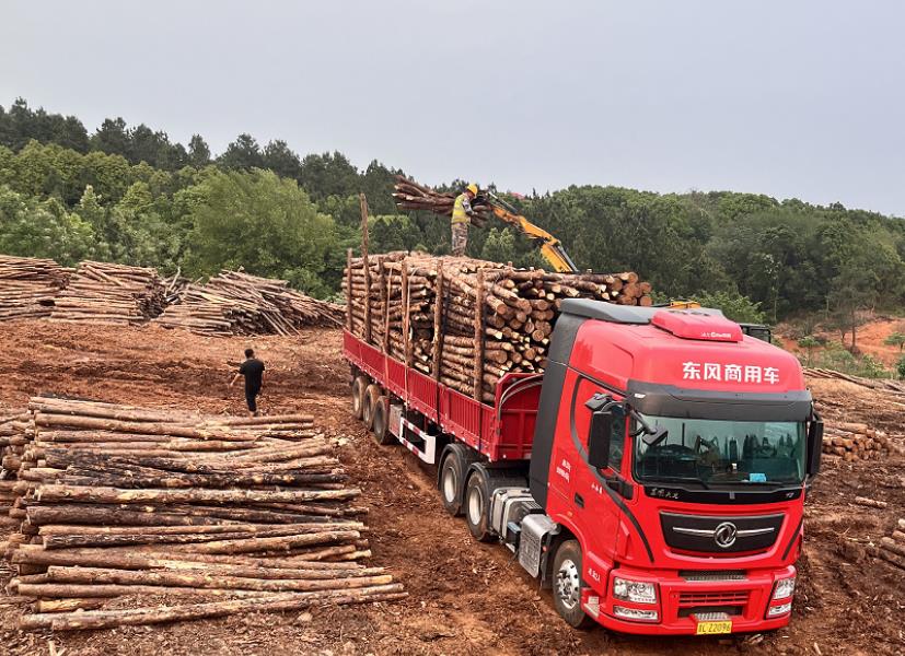 落葉松可以做防腐木嗎，如何制作落葉松防腐木