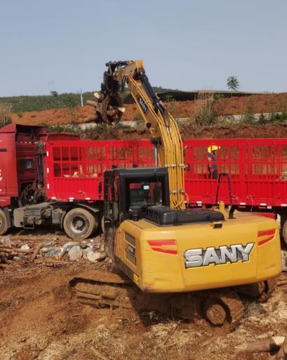 松木原木、松木條，漲勢如虹，現在搶購最劃算(附松木原木供應廠家介紹)