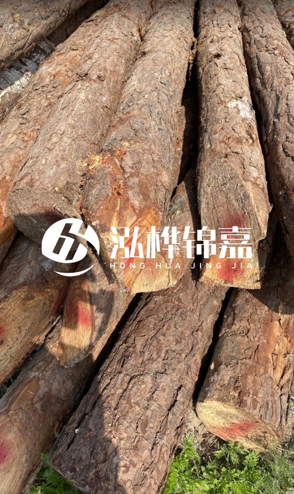 <strong>松木樁和杉木樁的用途區(qū)別？哪個(gè)更適合打樁用？</strong>