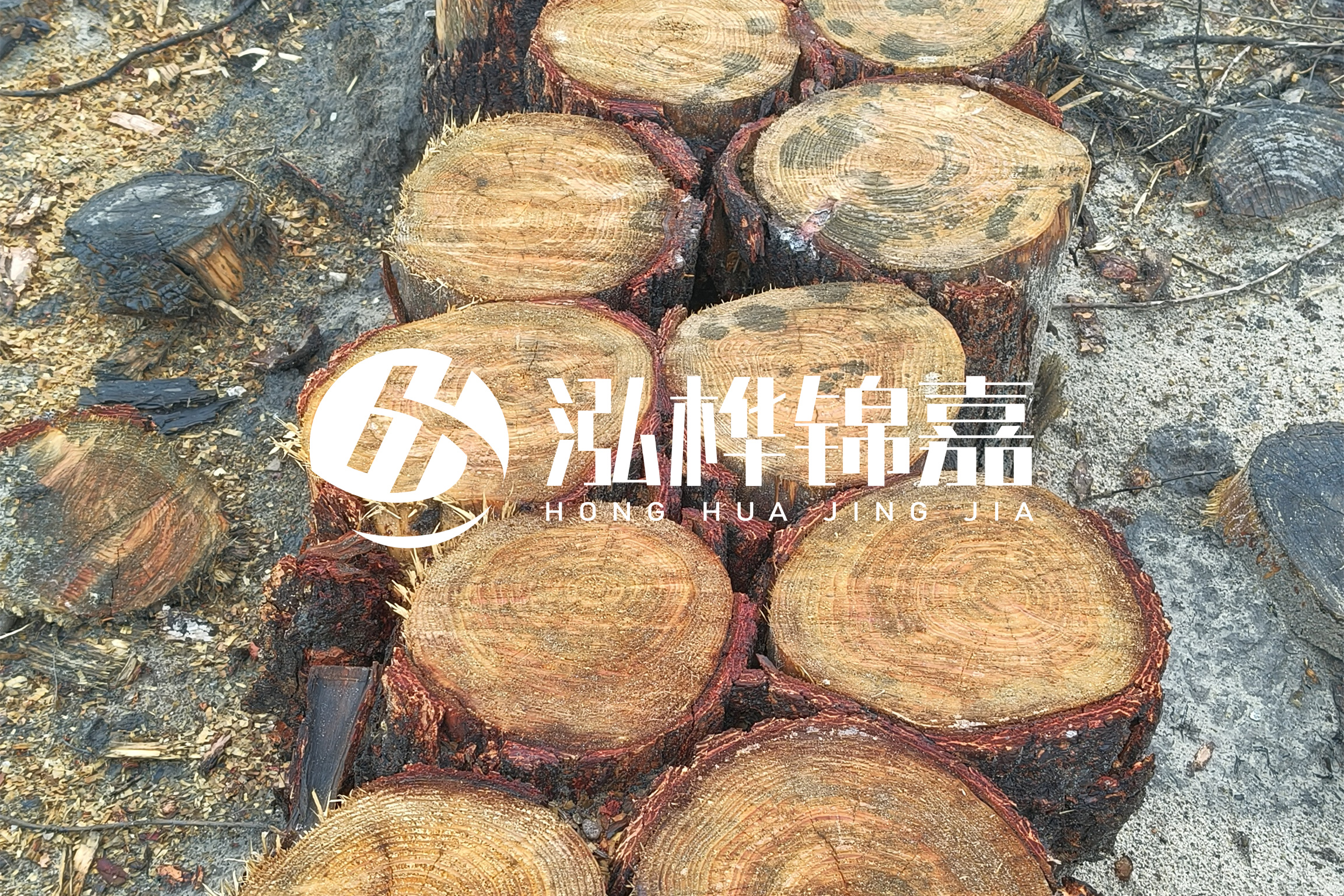 浙江臺州有清淤的公司嗎？浙江臺州有清淤施工隊嗎？