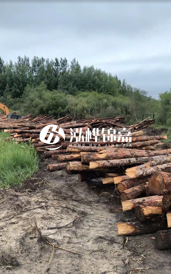 甘肅河道清淤工程公司-為什么要進(jìn)行河道清淤？