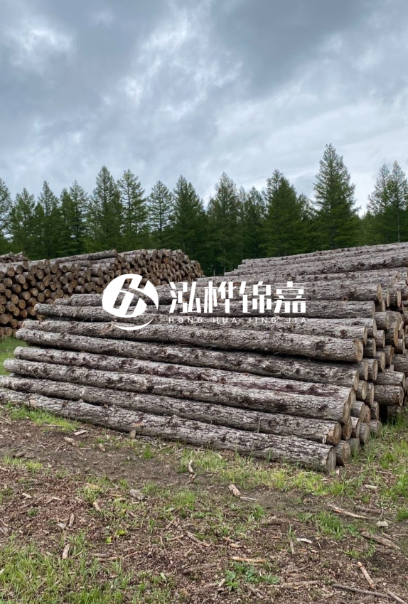 長沙松木樁源頭廠家-如何甄別松木樁打樁木的質(zhì)量好壞？