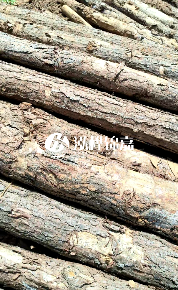 佛山松木樁源頭廠家-松木樁和杉木樁在河道治理中哪個更耐用？