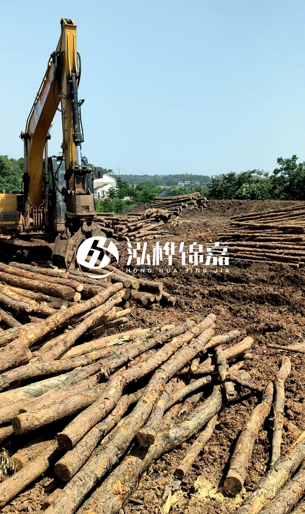 江門松木樁源頭廠家-河道木樁的防腐處理有哪些方法？