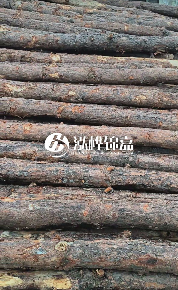 陽江松木樁源頭廠家-哪一種打樁木最便宜？