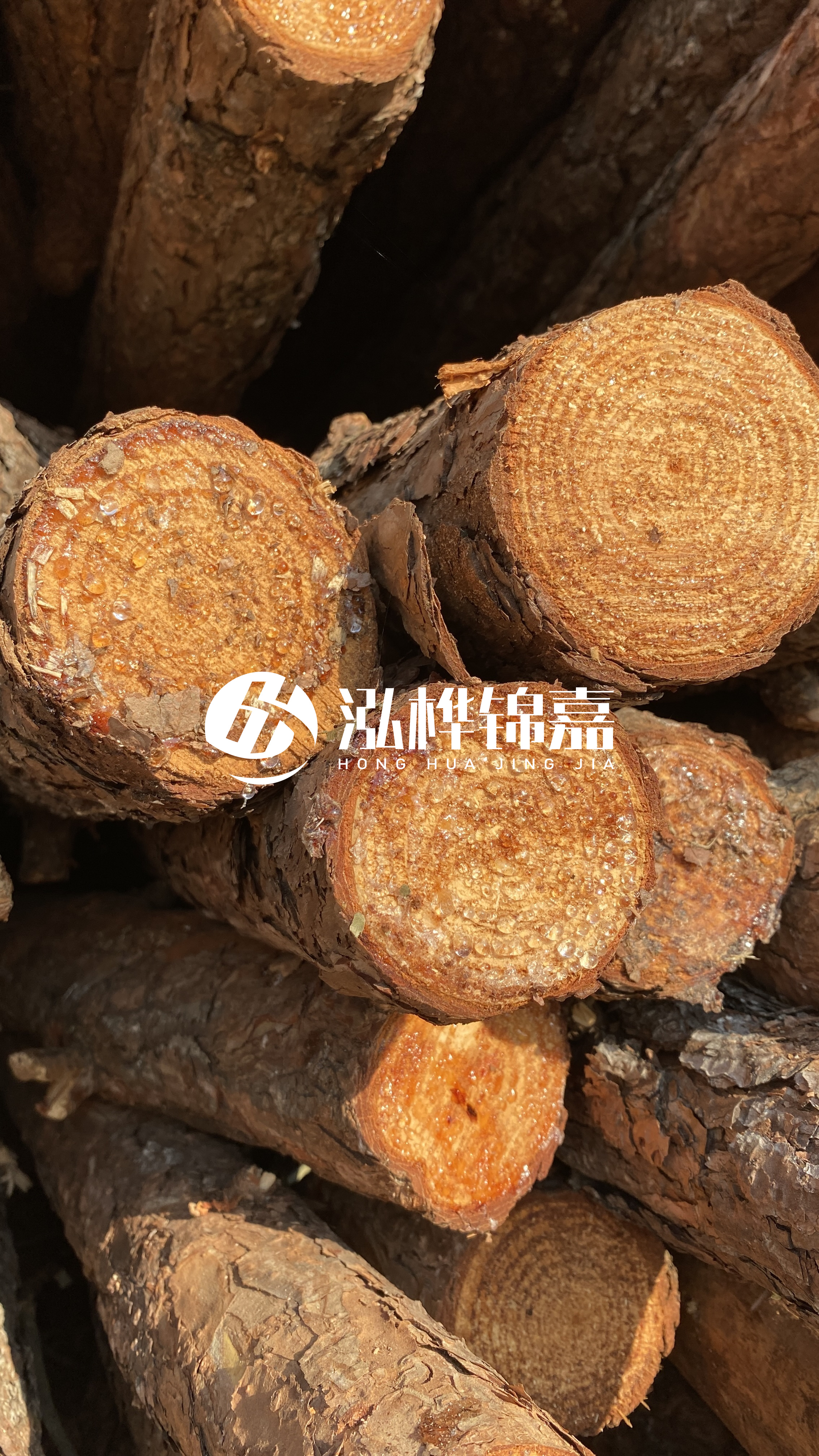 南充松木樁源頭廠家-木樁護坡優(yōu)缺點有哪些？