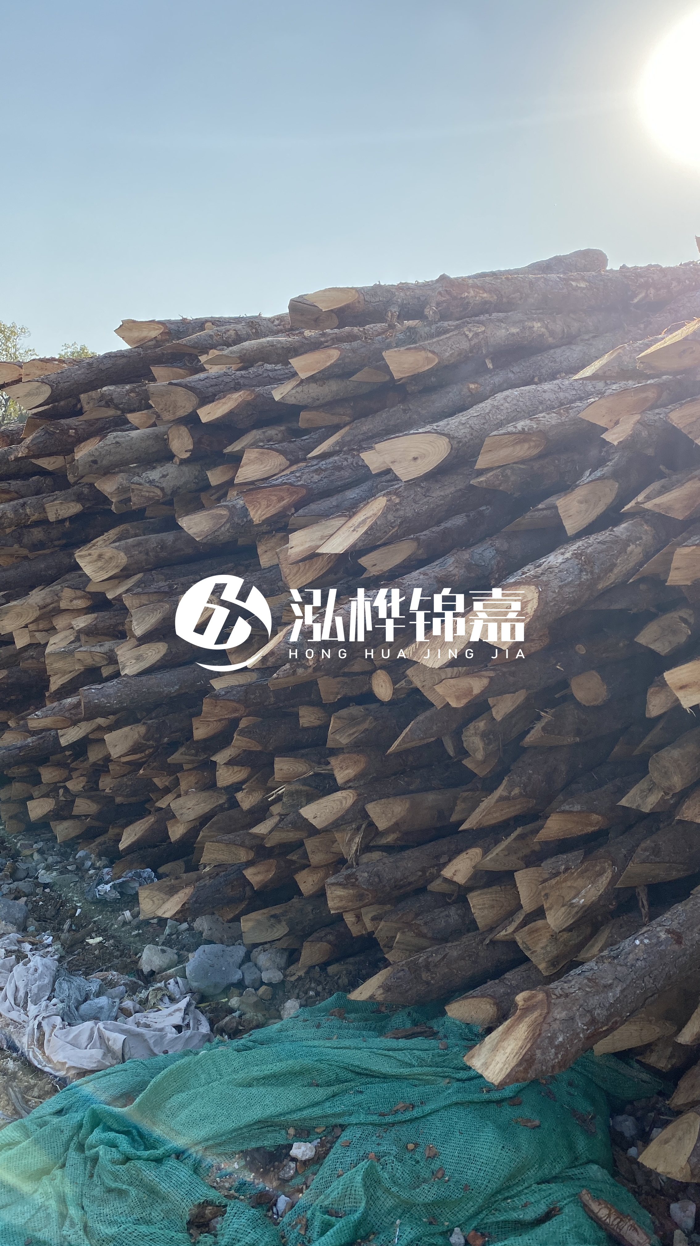 巴中松木樁源頭廠家-原木打樁木是否適合所有地質條件？