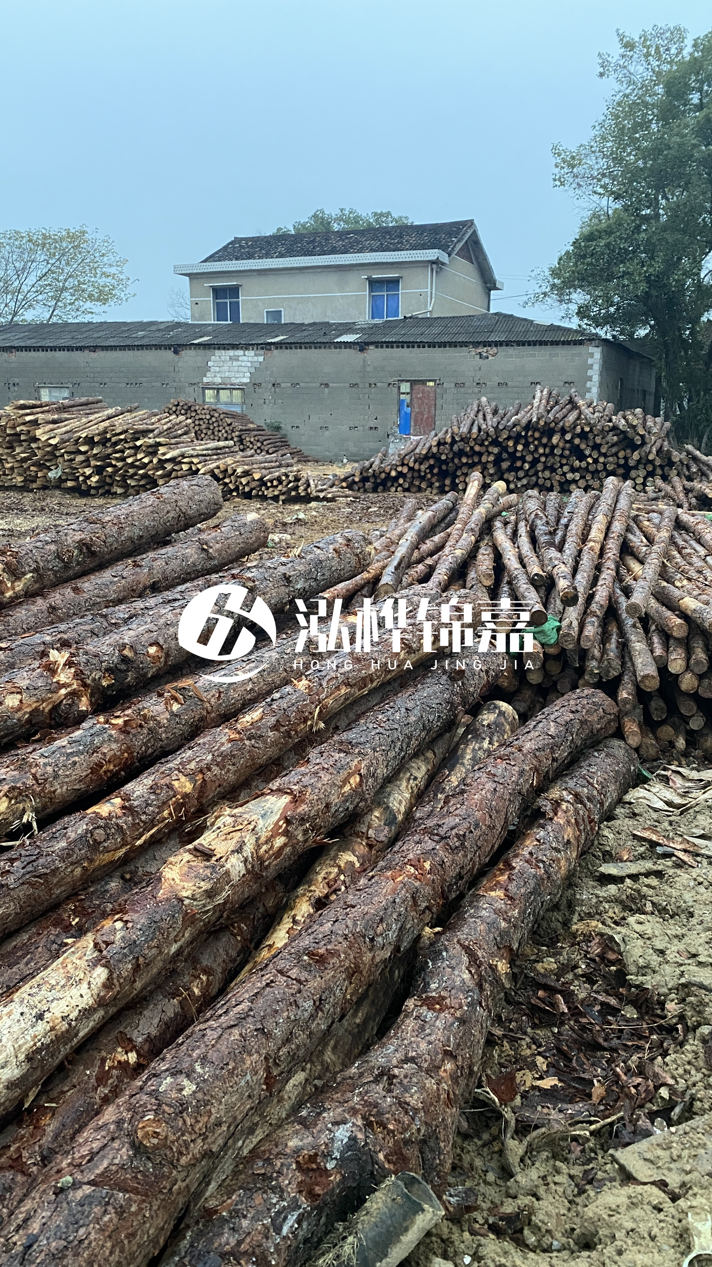 臨滄松木樁源頭廠家-油松打樁木的儲存條件有哪些要求？