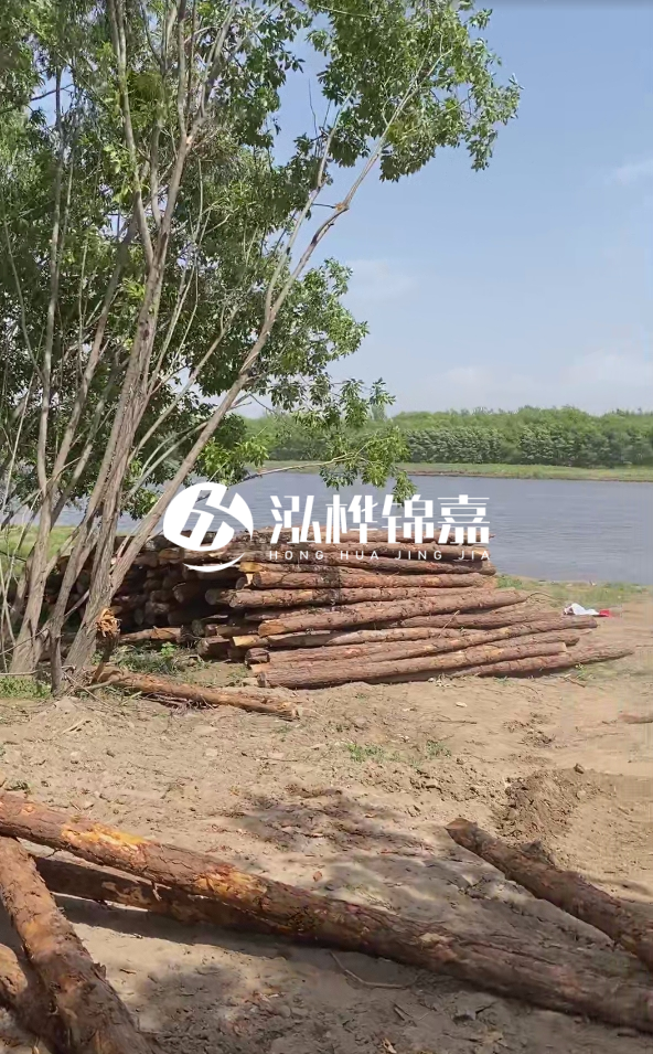 慶陽(yáng)挖機(jī)打木樁專(zhuān)業(yè)施工-松木打樁過(guò)程中如何避免木材開(kāi)裂？