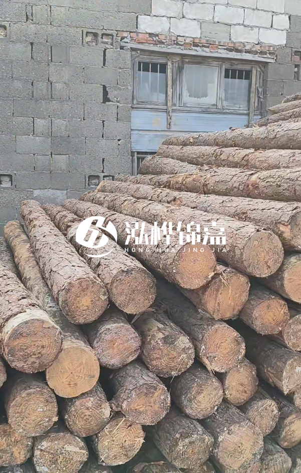 2025最新松木樁價(jià)格揭秘：松木樁一方到底多少錢(qián)？