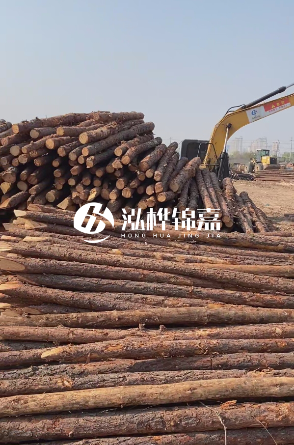 油松用于打樁木到底好不好？讓專(zhuān)業(yè)打樁隊(duì)告訴你！