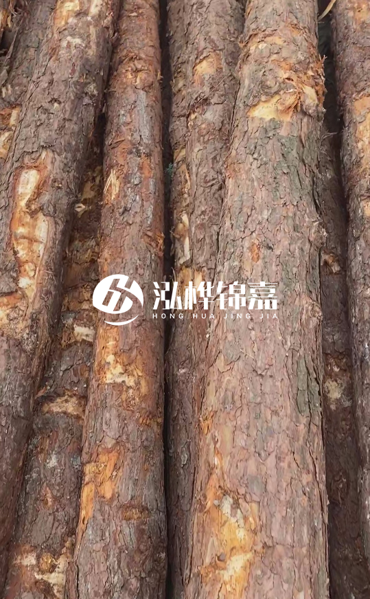 浙江地區(qū)大量供應(yīng)松木樁，源頭廠家在哪里？
