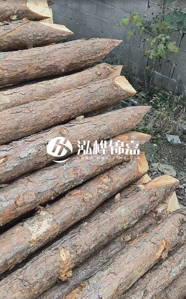 松木樁哪里能大量供應(yīng)？4米20公分松木樁價(jià)格是多少？