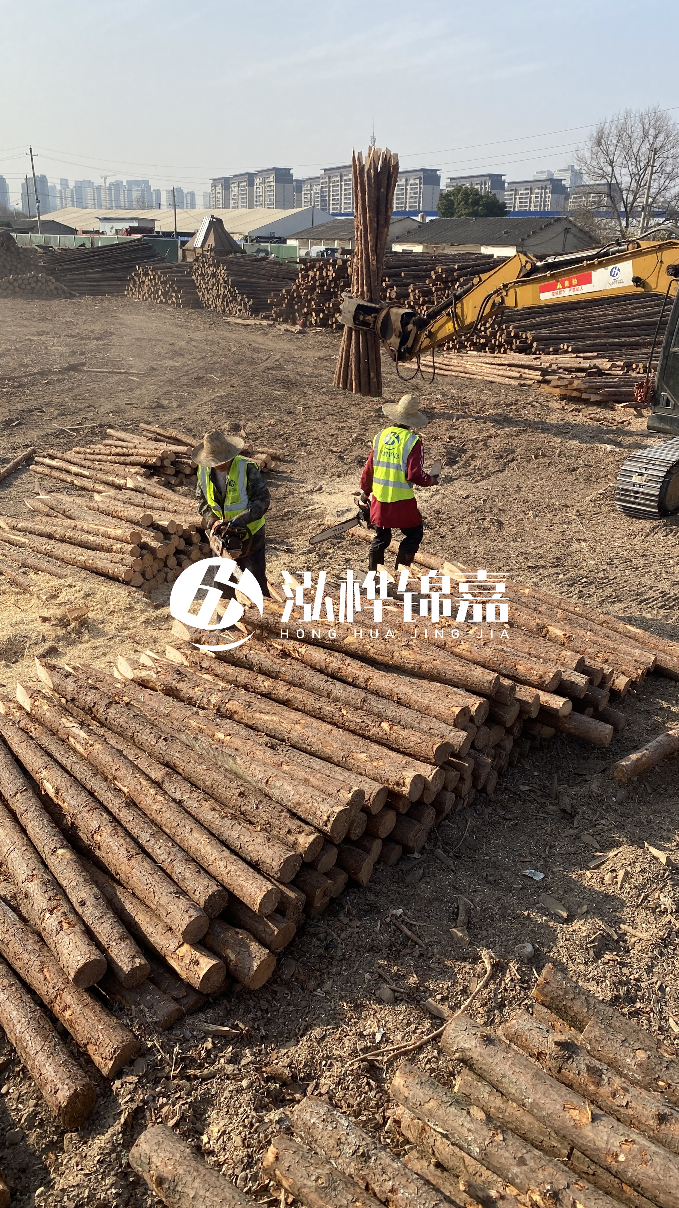 松木樁梢徑怎么測(cè)量？實(shí)用教程！一文教會(huì)你！