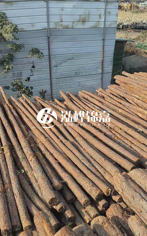 4米松木樁一根有多重？看完你就心中有數(shù)啦！