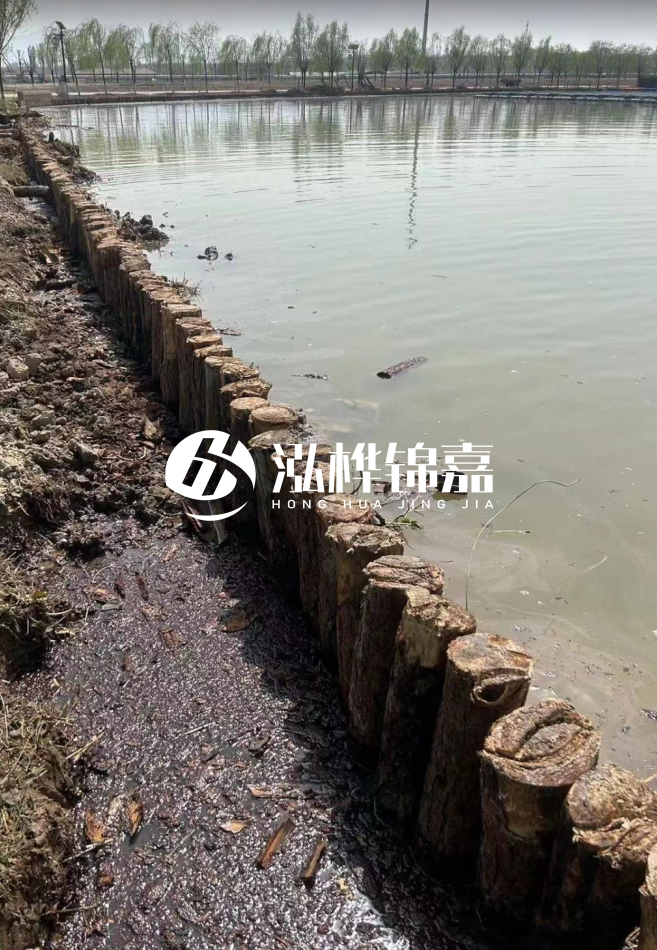 松木樁為什么要一根一根挨著打？秘密在這里！看完恍然大悟！