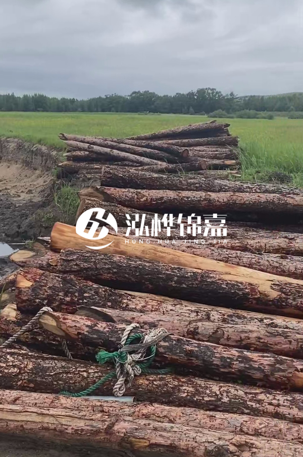 打樁木樁的選購標(biāo)準(zhǔn)是什么？材質(zhì)、尺寸與強(qiáng)度，哪些標(biāo)準(zhǔn)不能忽視？