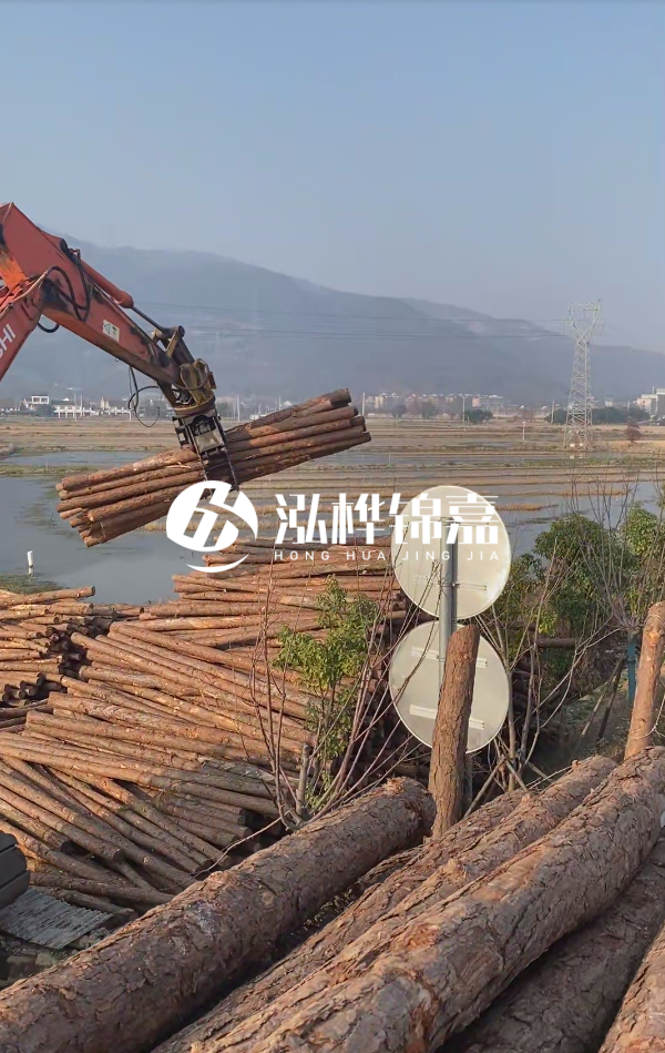 松木樁是否需要削皮呢？松木樁為什么不會(huì)爛掉呢？