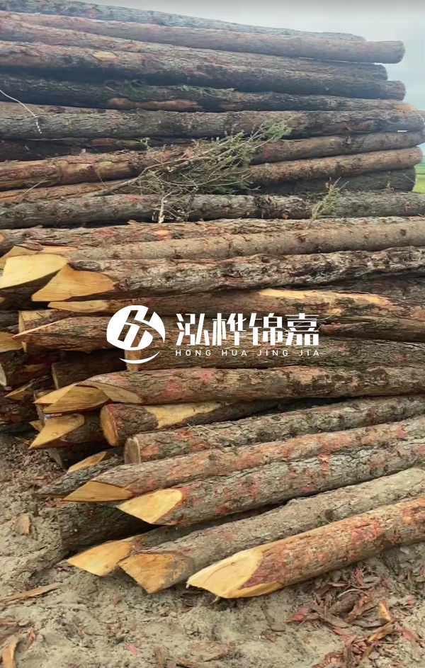 松木樁4米長(zhǎng)尾徑14厘米價(jià)格是多少？一立方米有多少根？