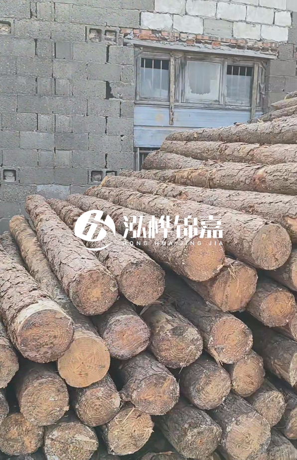 3米松木樁多少錢一根？14公分松木樁價格是多少？