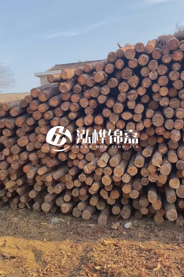 4米8-10公分松木樁大概多少錢一根？15公分價格又是多少？