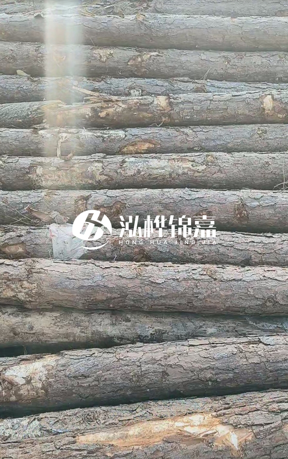 松木樁5米100mm一根多少錢(qián)-5米140mm多少錢(qián)？