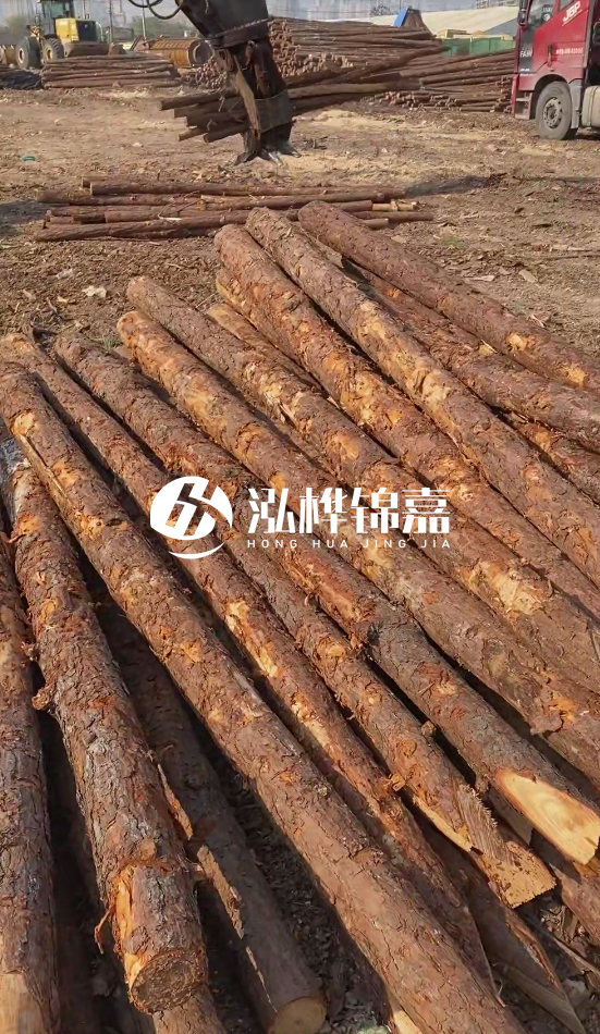 7米松木樁8一12公分價(jià)格？直徑15公分松木樁多少錢(qián)？