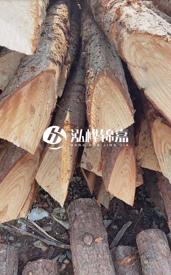 3米杉木樁梢頭12大頭多少？賣多少錢一根？