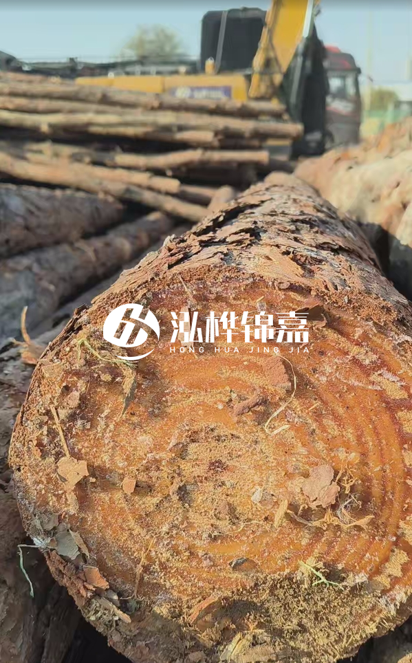 杉木樁價(jià)格多少錢一方-3米直徑14公分杉木樁價(jià)格？