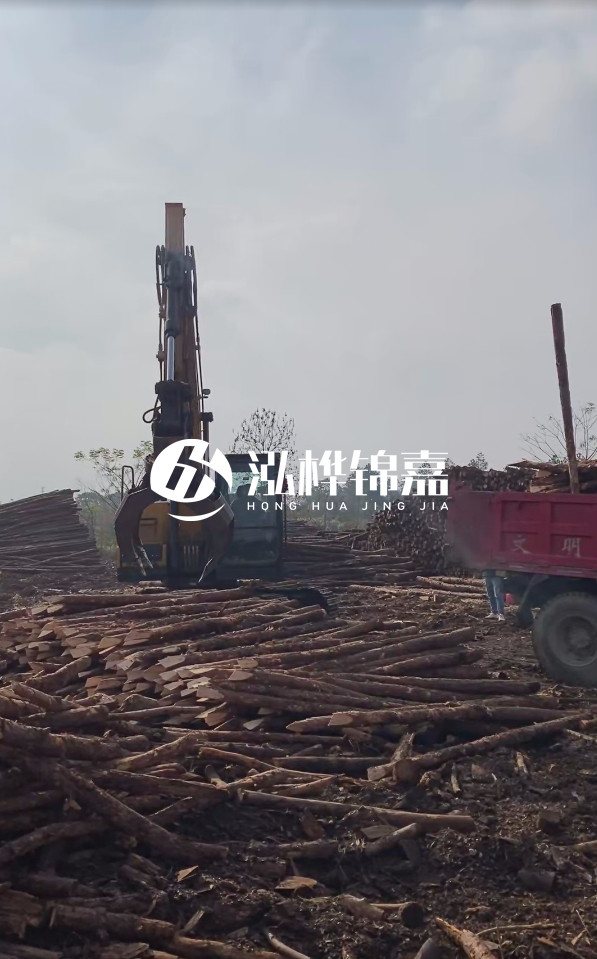 6米打樁木多少錢一根-6米10-15公分價(jià)格是多少？