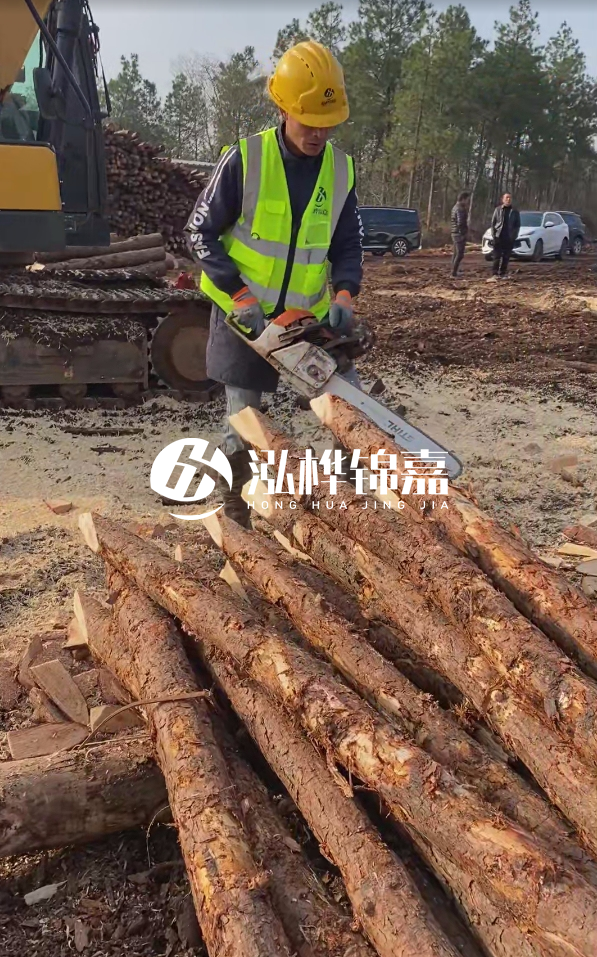 松木樁樁長(zhǎng)1.5米稍徑12多少錢一根？樁長(zhǎng)1.5米稍徑12大頭多少？