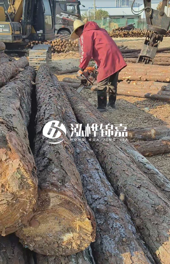 長(zhǎng)沙打樁木批發(fā)廠家在哪里？聯(lián)系方式是什么？