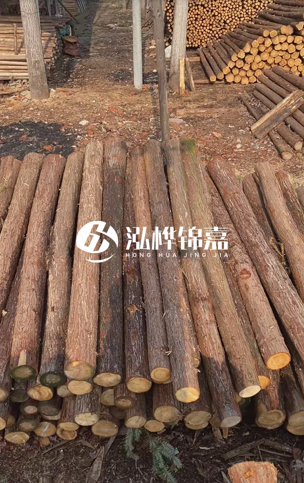 河道護(hù)坡選松木樁還是杉木樁？河道木樁一根多少錢？