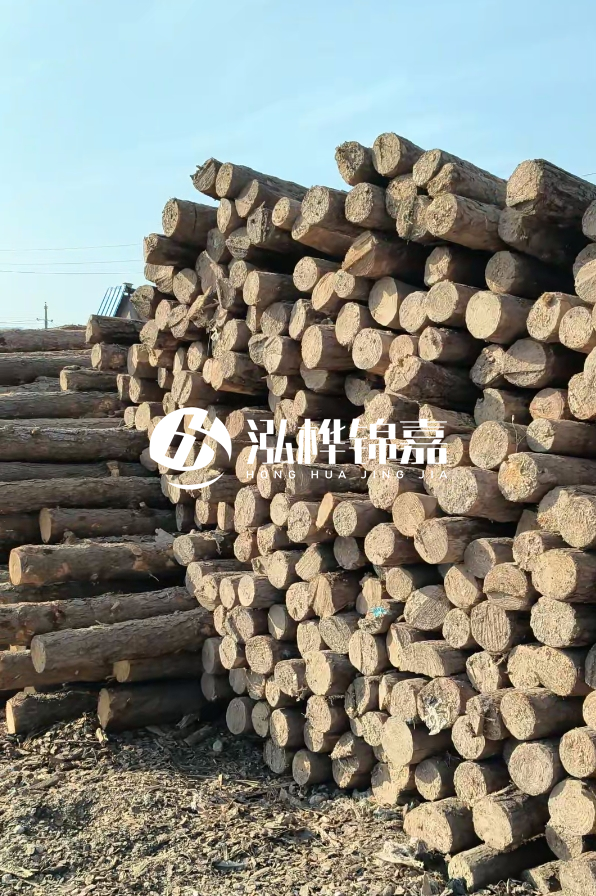 江西哪里有松木樁賣-4米12-14公分松木樁價格揭秘！