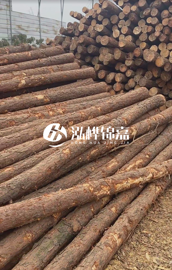 山西河道木樁護(hù)岸價格多少錢一米-每米河道打樁要花多少錢？