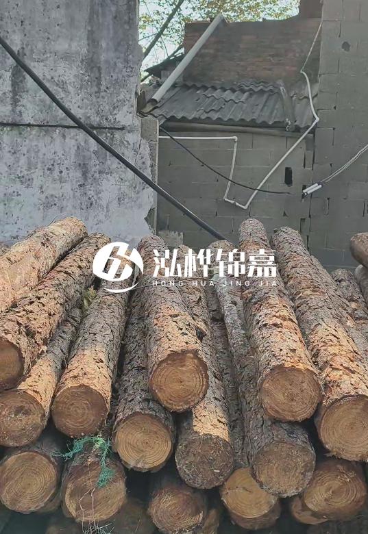 1.5米至2米長松木樁價格表-10-12公分大概多少錢一根？