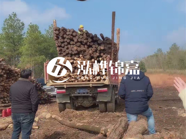 松木樁價(jià)格是按米算還是按根算？6米松木樁批發(fā)價(jià)每根多少錢？