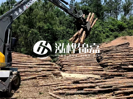 3米松木樁小頭10公分多少錢一根？大頭10公分又是多少錢？