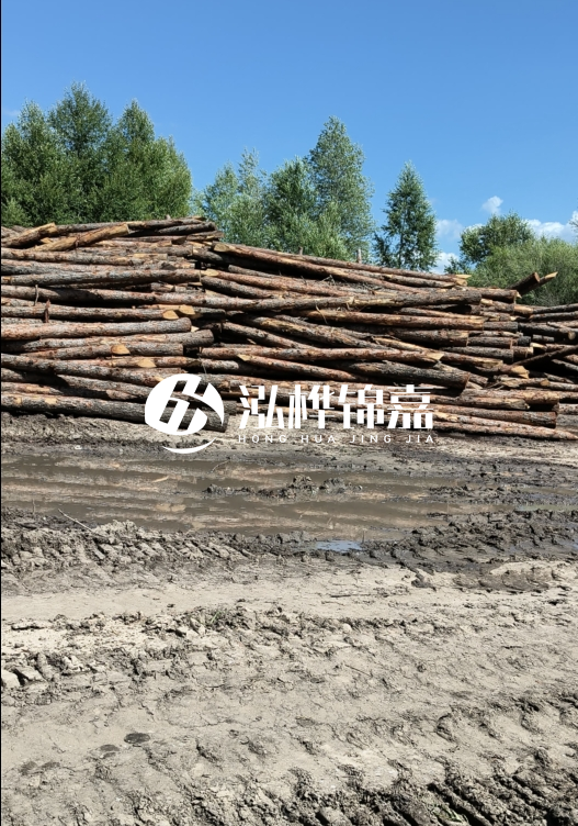 3米松木樁適合河道護(hù)坡嗎？小頭直徑8厘米的松木樁價(jià)格如何？