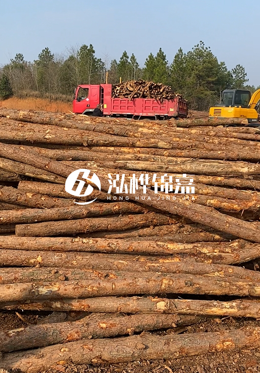 8米小頭11-13CM的松木樁價(jià)格是多少？打樁施工怎么算？