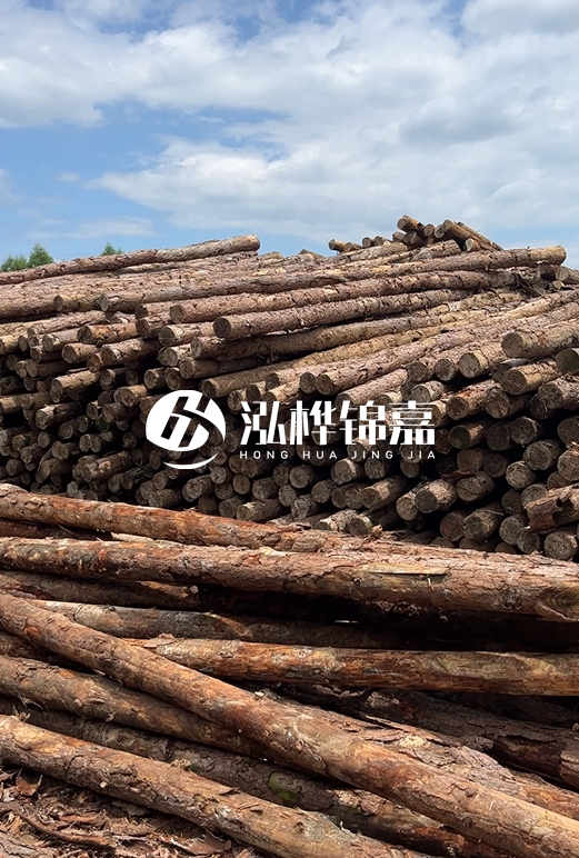 松木打樁木的價(jià)格波動(dòng)受哪些因素影響？杉木樁能代替松木樁嗎？