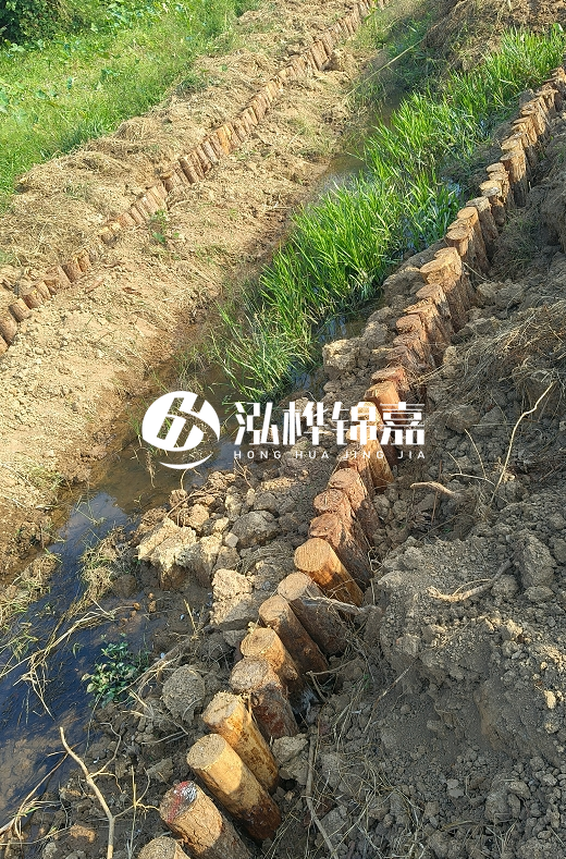 湖南松木樁批發(fā)廠家直銷-松木樁做碳化多少錢一根？