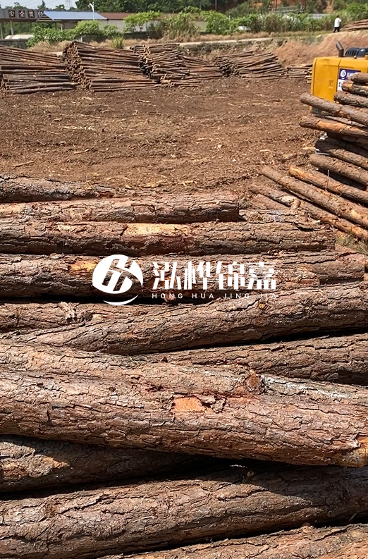 陜西河道木樁源頭廠家泓樺錦嘉-3米大頭11-13厘米多少錢一根？