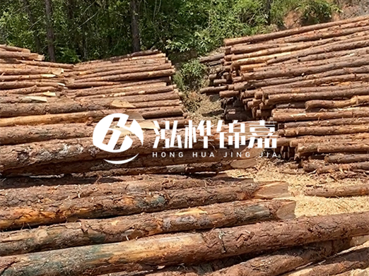 松木樁的運(yùn)輸費(fèi)用是否包含卸車費(fèi)？卸貨時(shí)需要注意哪些安全問題？