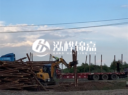 河北打樁木源頭廠家泓樺錦嘉 - 北方常用打樁木是什么？