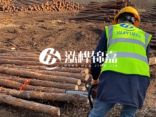 哪些木樁廠家能提供快速定制服務(wù)？哪些木樁廠家在國內(nèi)有多個生產(chǎn)基地？