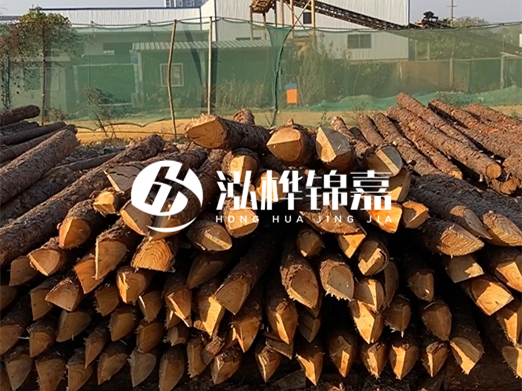 松木樁6米15cm打樁多少錢一根-專業(yè)打木樁隊聯(lián)系電話？